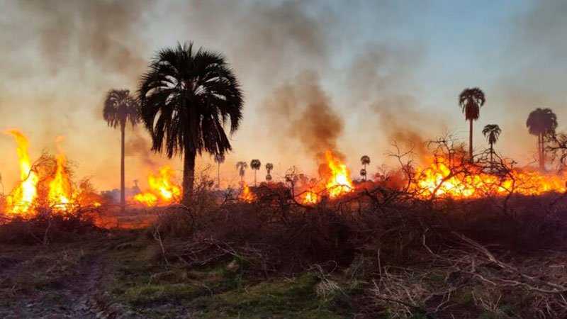 Se quemaron 300 hectreas en un espacio donde se creara un Parque Nacional