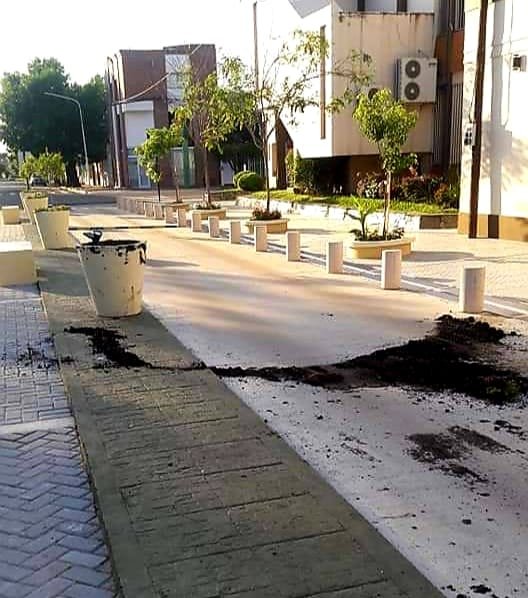 Vndalos rompen macetas a pocos metros de la jefatura.