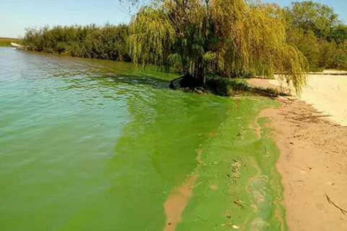 La contaminacin del Ro Uruguay ya no se puede ocultar.