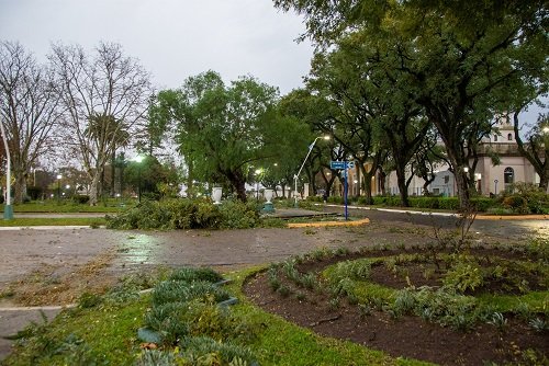 Gran cantidad de rboles cados y cables sobre la va pblica en San Jos tras el temporal.