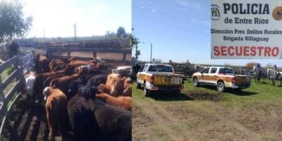 En una causa por evasin, Delitos Rurales secuestr cabezas de ganado en Lucas Sud.