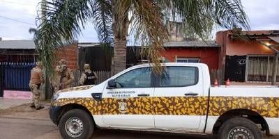 Abigeato recupero 14 animales robados en Lucas Norte.
