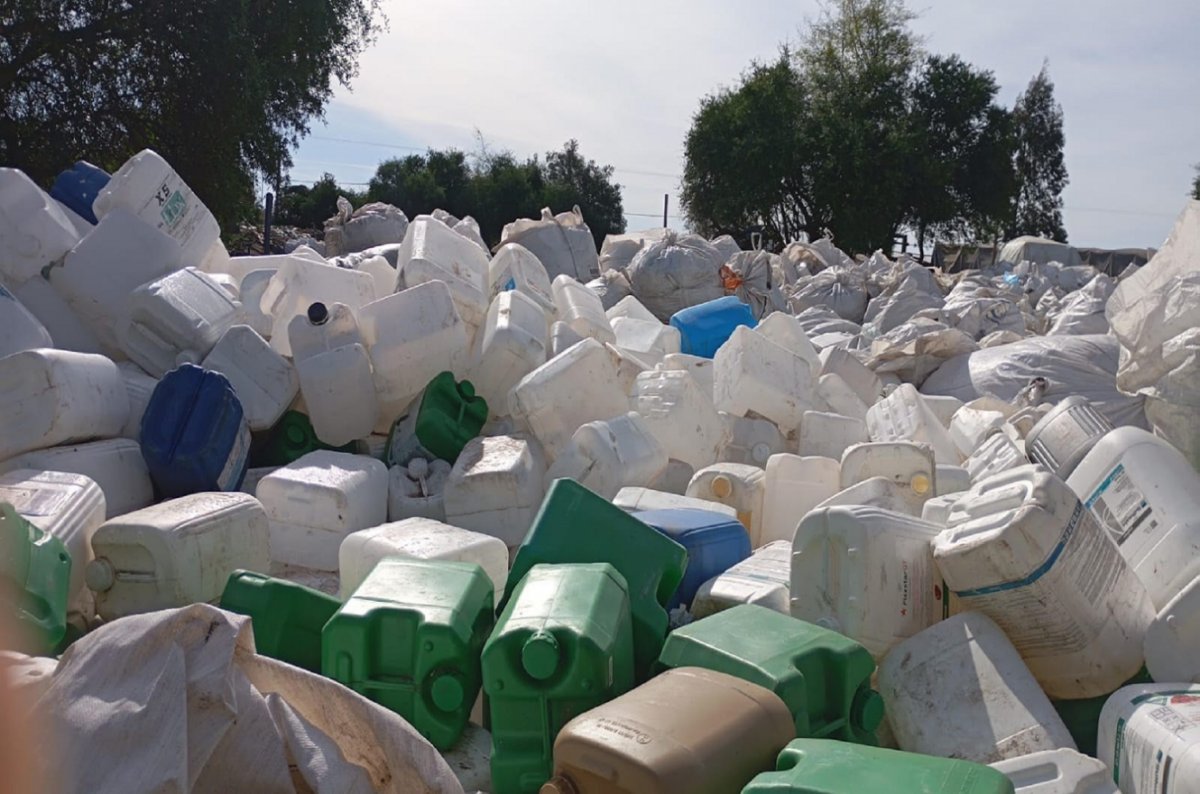 Incautaron ms de 2.000 envases de agrotxicos vacos en San Jos.