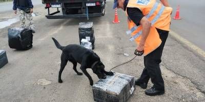 Secuestraron 14 kg de marihuana en el cruce de las rutas 14 y 18.