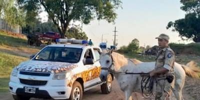 Recuperaron equinos robados y detuvieron a un hombre.