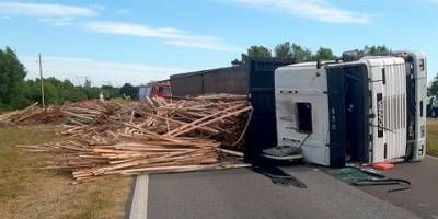 Camin con maderas volc en Ruta 12: hubo tres kilmetros de fila de vehculos