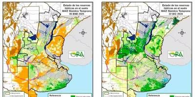 Periodo crtico. Ola de calor y pocas lluvias, el difcil panorama que le espera al campo en los prximos das.