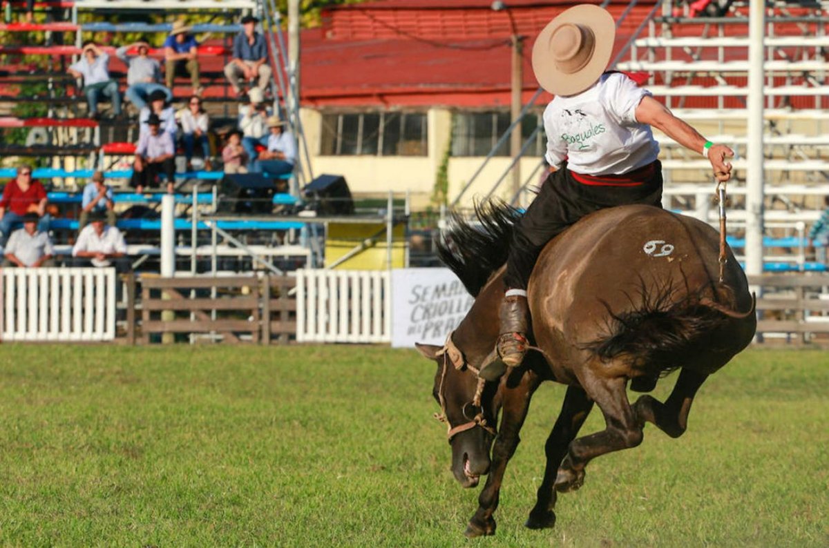 Gualeguay: condenaron a un hombre por maltrato animal en una doma.