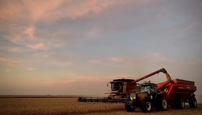 El Estado se queda con el 82,6% de la renta sojera en un campo alquilado mientras el productor pierde plata El Estado se queda con el 82,6% de la renta sojera en un campo alquilado mientras el productor pierde plata