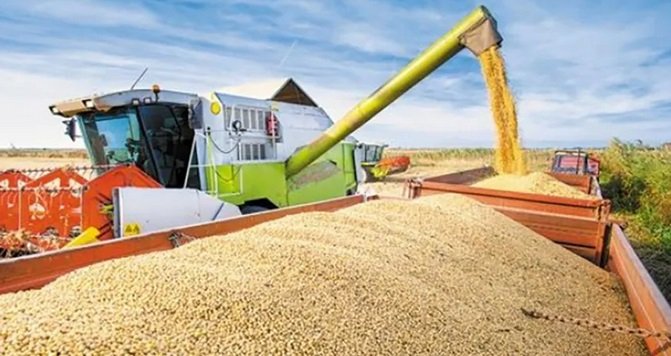 Desarrollo económico: Entre Ríos es la segunda provincia del país donde más crecieron las exportaciones Desarrollo económico: Entre Ríos es la segunda provincia del país donde más crecieron las exportaciones