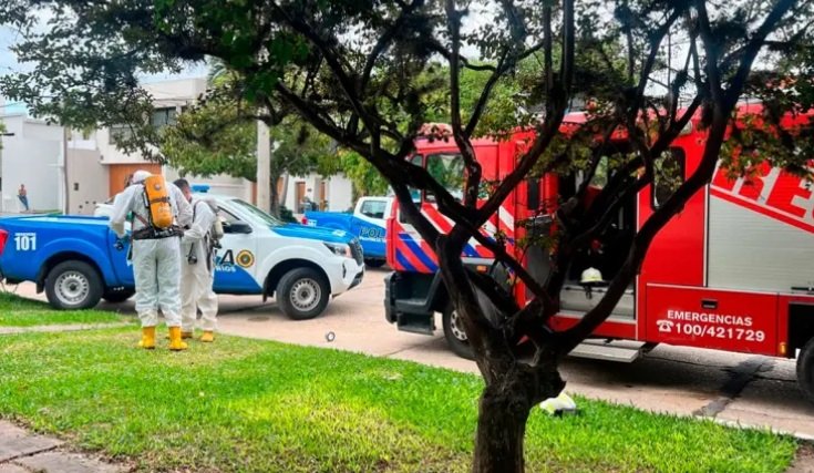 Murió un hombre tras un incendio en un complejo de departamentos de Chajari. Murió un hombre tras un incendio en un complejo de departamentos de Chajari.