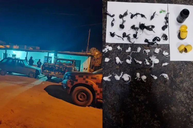 Incautaron coca铆na, marihuana, efectivo y detuvieron a un sospechoso en un procedimiento en Villaguay. Incautaron coca铆na, marihuana, efectivo y detuvieron a un sospechoso en un procedimiento en Villaguay.