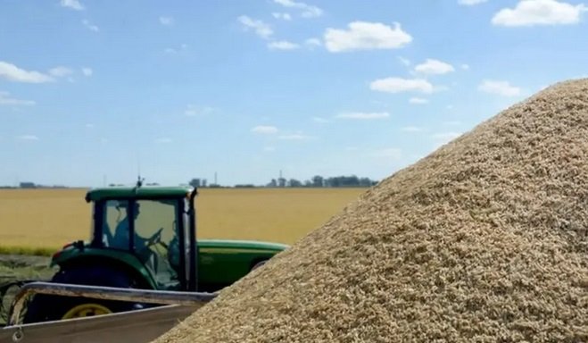 Rebeli贸n en las arroceras: cese de comercializaci贸n por tiempo indeterminado de arroz c谩scara. Rebeli贸n en las arroceras: cese de comercializaci贸n por tiempo indeterminado de arroz c谩scara.