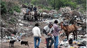Piden urgente a Azcu茅 que declare emergencia alimentaria en Concordia. Piden urgente a Azcu茅 que declare emergencia alimentaria en Concordia.