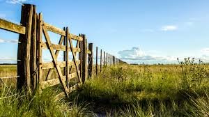 Frigerio aumentó un 30 por ciento los impuestos rural y subrural. Frigerio aumentó un 30 por ciento los impuestos rural y subrural.