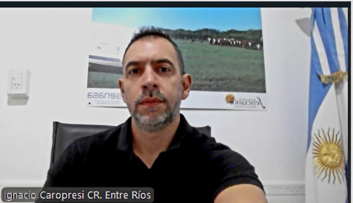 Senasa explica porqu茅 la segunda vacunaci贸n del a帽o contra aftosa empieza el 8 de junio en Entre R铆os Senasa explica porqu茅 la segunda vacunaci贸n del a帽o contra aftosa empieza el 8 de junio en Entre R铆os