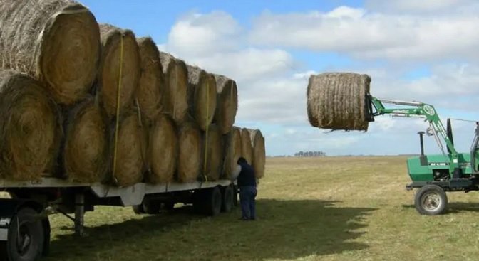 Un trabajador rural falleci贸 tras ser aplastado por un rollo de alfalfa. Un trabajador rural falleci贸 tras ser aplastado por un rollo de alfalfa.