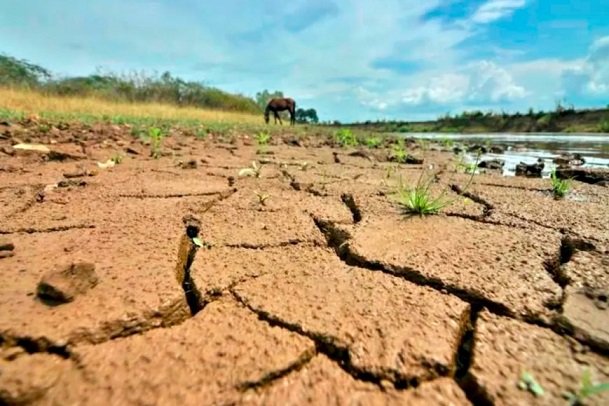 ¡Viene un El Niño poderoso! Investigadores dicen que el fenómeno podría añadir presión a un sistema mundial precario. ¡Viene un El Niño poderoso! Investigadores dicen que el fenómeno podría añadir presión a un sistema mundial precario.