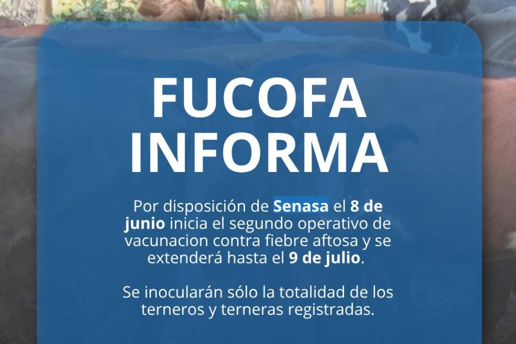 El 8 de junio inicia la vacunaci贸n contra la aftosa. El 8 de junio inicia la vacunaci贸n contra la aftosa.