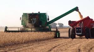 Caer铆a 22% la producci贸n de soja entrerriana, seg煤n un informe de la Bolsa de Cereales. Caer铆a 22% la producci贸n de soja entrerriana, seg煤n un informe de la Bolsa de Cereales.