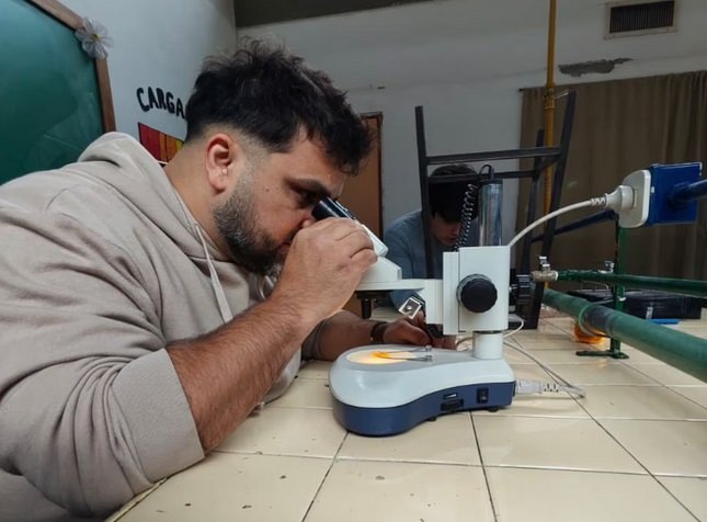 Naranja amarga: cuál es el interés de Vietnam y qué utilización le dan al fruto en los paÃses orientales Naranja amarga: cuál es el interés de Vietnam y qué utilización le dan al fruto en los paÃses orientales