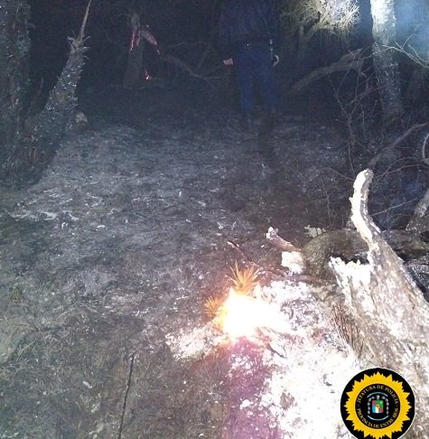 Se incendiaron varias hect谩reas de monte en Mojones Sud Primera. Se incendiaron varias hect谩reas de monte en Mojones Sud Primera.