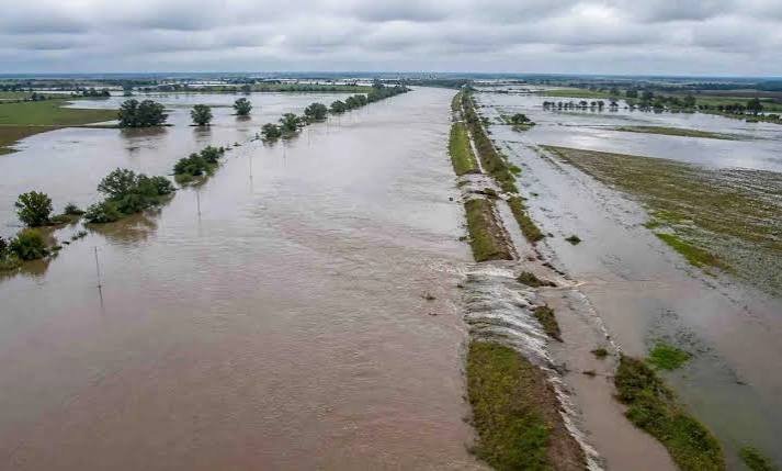 El Niño pone en alerta al campo: cuáles son los cultivos que más pueden sufrir por el agua. El Niño pone en alerta al campo: cuáles son los cultivos que más pueden sufrir por el agua.
