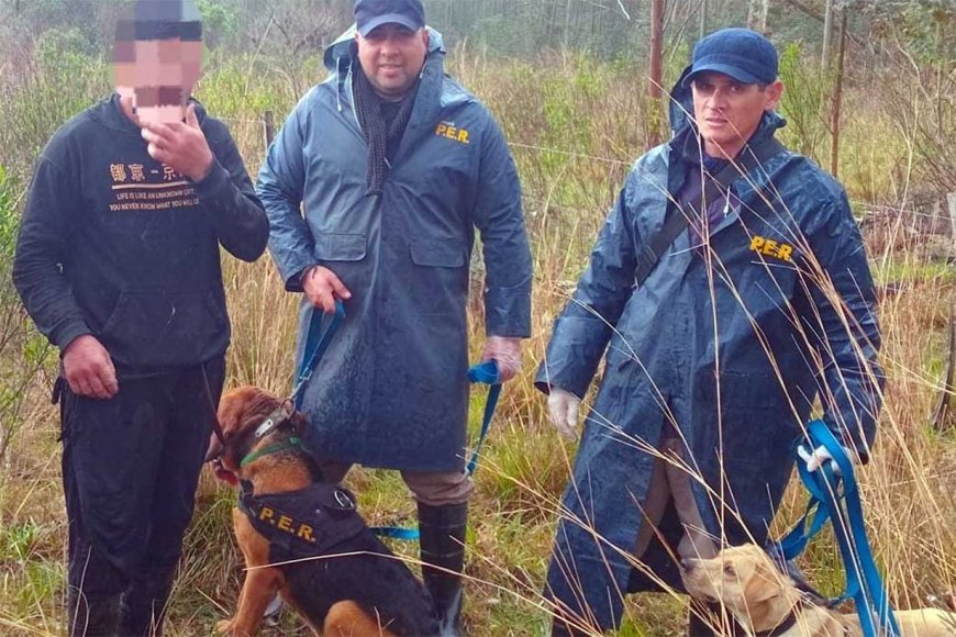 Canes de la policÃa hallaron con vida a un trabajador forestal que habÃa desaparecido Canes de la policÃa hallaron con vida a un trabajador forestal que habÃa desaparecido