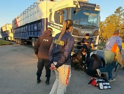 Una chica de 15 años fue embestida por un camión. Una chica de 15 años fue embestida por un camión.
