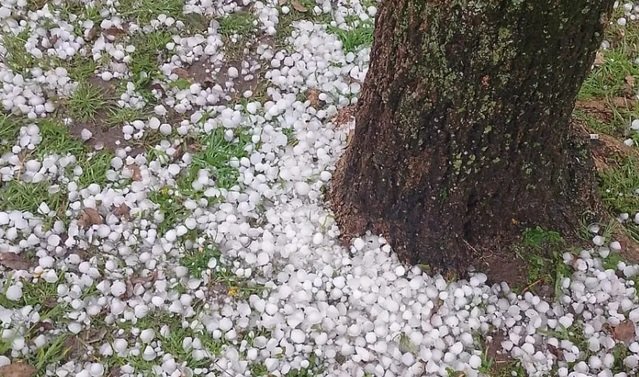 Se registr贸 un fuerte temporal y abundante ca铆da de granizo en la zona de Ram铆rez, Nogoy谩 y Hern谩ndez Se registr贸 un fuerte temporal y abundante ca铆da de granizo en la zona de Ram铆rez, Nogoy谩 y Hern谩ndez