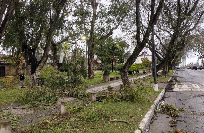 Voladuras de techo, caída de árboles, mampostería y postes de luz dice el primer reporte municipal de la tormenta. Voladuras de techo, caída de árboles, mampostería y postes de luz dice el primer reporte municipal de la tormenta.