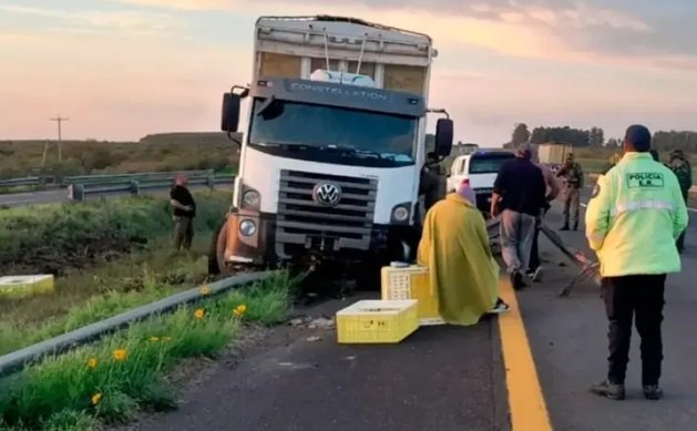 Un camión despistó esta madrugada en la Autovía 14 al intentar esquivar un ciervo Un camión despistó esta madrugada en la Autovía 14 al intentar esquivar un ciervo