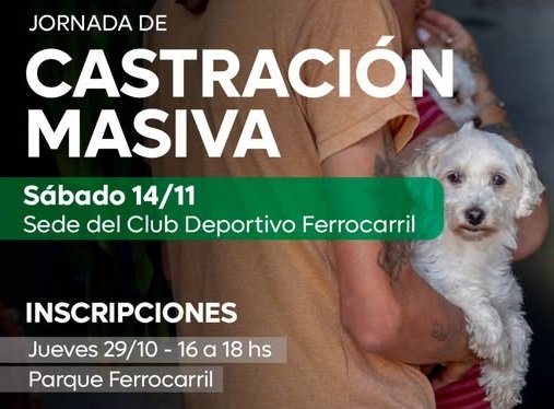 El municipio organiza una jornada de castración de animales. El municipio organiza una jornada de castración de animales.